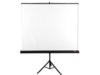 AVTek Ekran na statywie Tripod Standard 150, 1:1, 150x150cm, powierzchnia biała, matowa