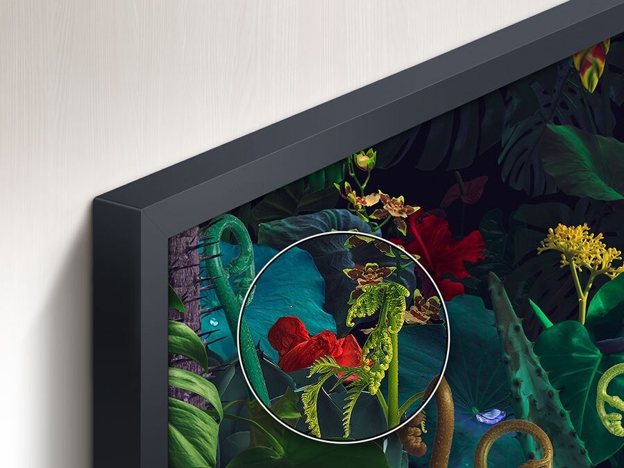Telewizor Samsung QE32LS03CBUXXH czarny pokazujący fragment obrazu ze zbliżeniem na intensywność kolorów